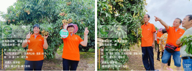 1654828384753987.png 組合 19.png