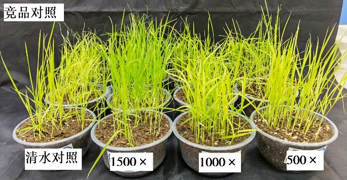 1654830311101275.png 圖片 10.png