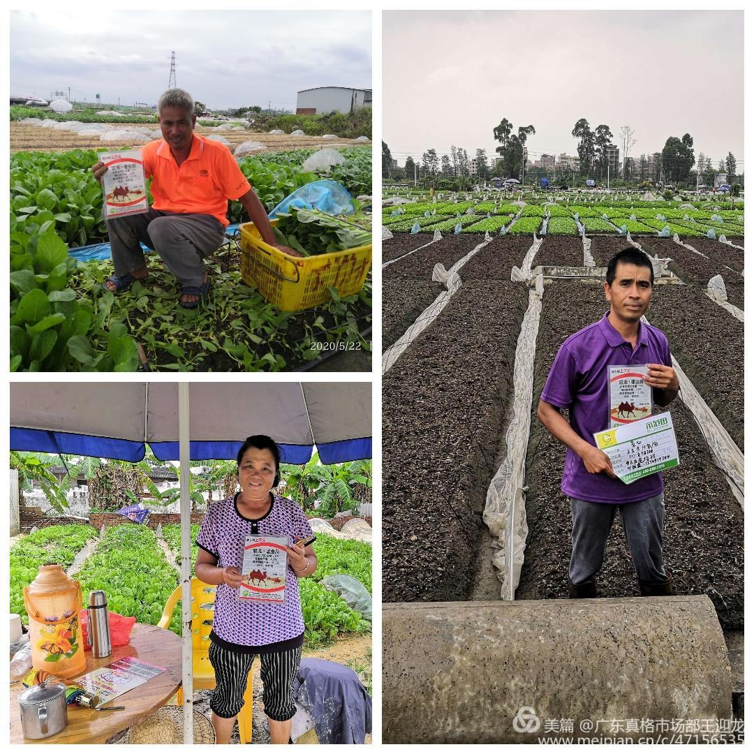 1654831092842880.png 圖片 4(1).png